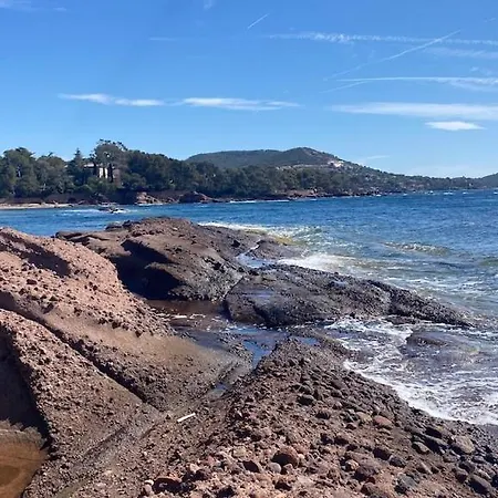 Saint Raphael